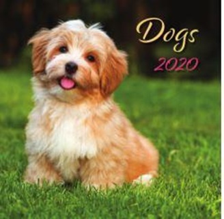 24t9800-06a - Dogs Lemeznaptr - 2025