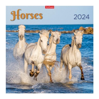 24t9800-10a - Horses Lemeznaptr - 2025