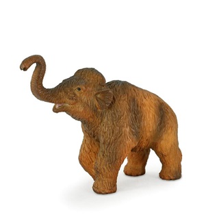 Mojo Woolly Mammoth Bbi M