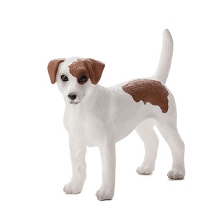 Mojo Jack Russell Terrier M