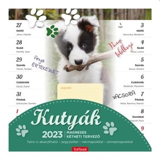 Kutyk Mgneses Naptr 2025