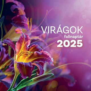 Virgok Falinaptr 2025.