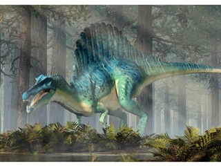 Mcn28 - Spinosaurus 3d Kpeslap 148x105