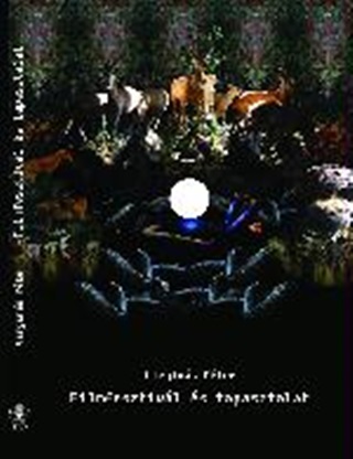 Filmfesztivl s Tapasztalat