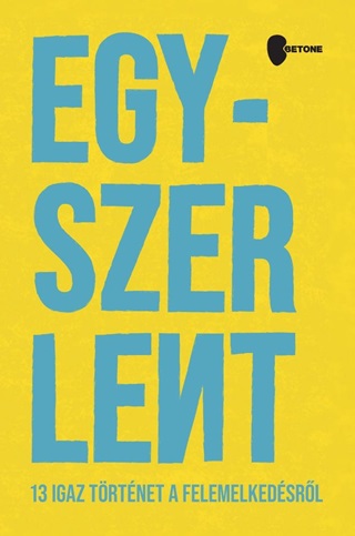 Egyszer Lent - 13 Igaz Trtnet A Felemelkedsrl