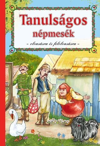 Tanulsgos Npmesk - 2.tdolgozott Kiads