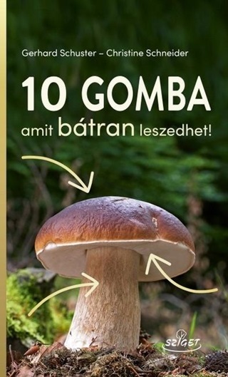 10 Gomba Amit Btran Leszedhet!