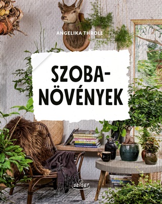 Szobanvnyek