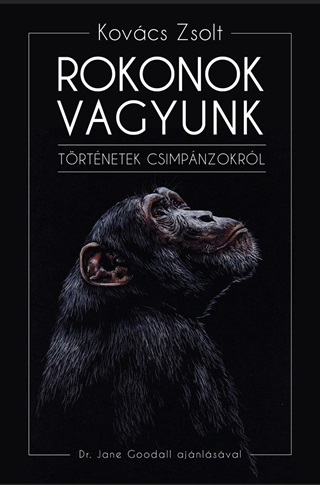 Rokonok Vagyunk- Trtnetek Csimpnzokrl