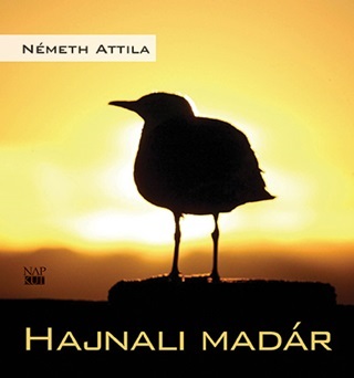 Hajnali Madr