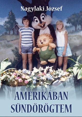 Amerikban Sndrgtem