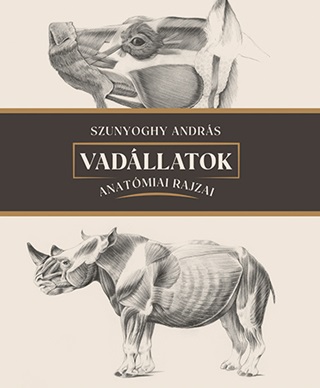 Vadllatok Anatmiai Rajzai