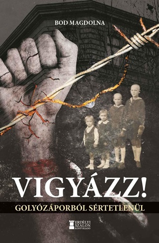 Vigyzz! - Golyzporbl Srtetlenl