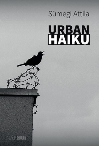 Urban Haiku
