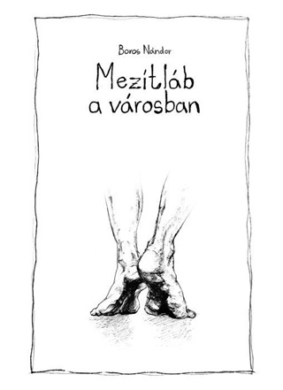 Boros Nndor - Meztlb A Vrosban