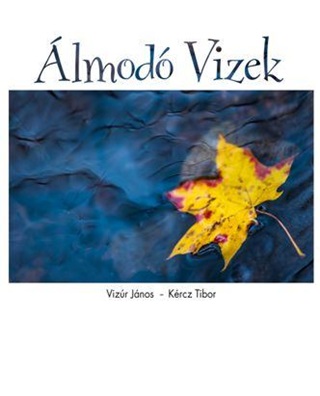 lmod Vizek