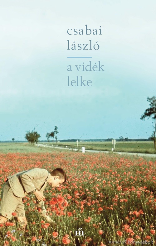 A Vidk Lelke
