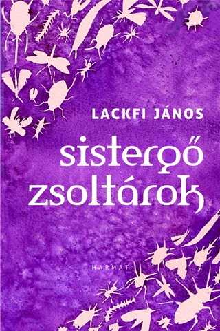 Sisterg Zsoltrok