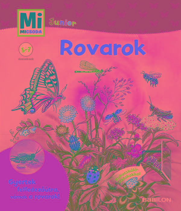 Rovarok - Mi Micsoda Junior - Kukucskl Ablakokkal
