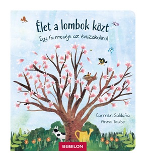 let A Lombok Kzt