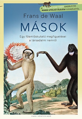 Msok