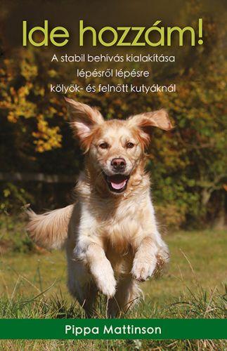Ide Hozzm! - A Stabil Behvs Kialaktsa Lpsrl Lpsre Klyk- s Felntt