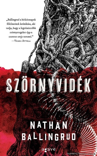 Szrnyvidk