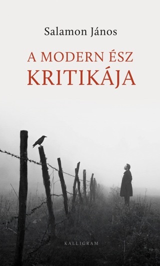 A Modern sz Kritikja