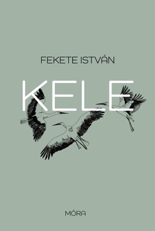 Kele (j Bort)