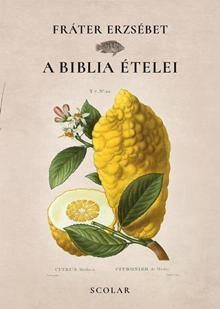 A Biblia telei