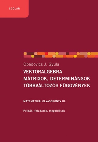 Vektoralgebra, Mátrixok, Determinánsok,  Többváltozós Függvények  (2.Kiadás)