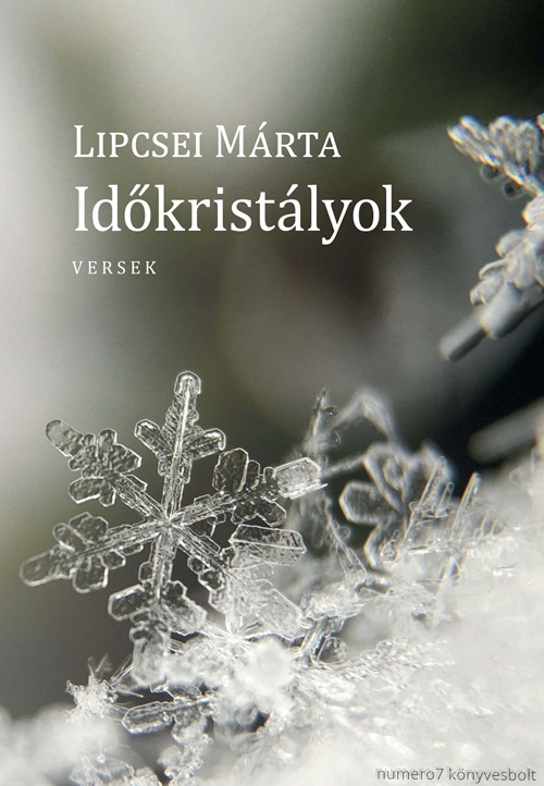 Lipcsei Mrta - Idkristlyok