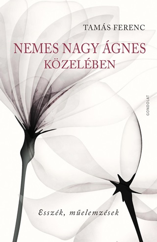 Nemes Nagy gnes Kzelben