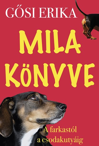 Gsi Erika - Mila Knyve