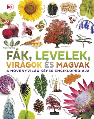 Fk, Levelek, Virgok s Magvak