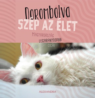Dorombolva Szp Az let - Magyarorszg Legaranyosabb Cici