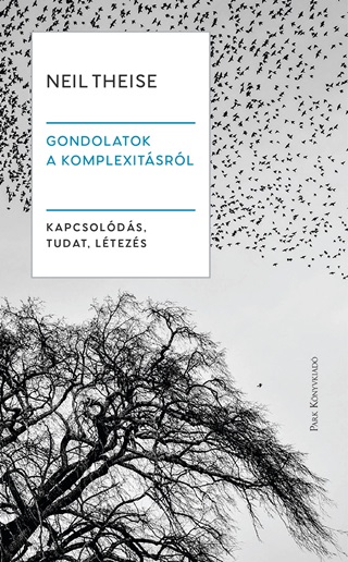 Gondolatok A Komplexitsrl - Kapcsolds, Tudat, Ltezs
