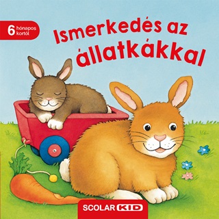 Ismerkeds Az llatkkkal